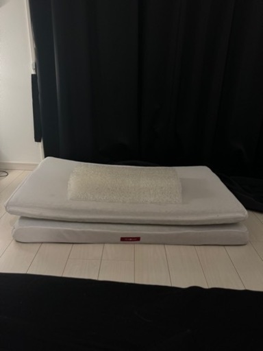 ブレインスリープピローマットレスエアウィーブ脳科学コアラマットレス