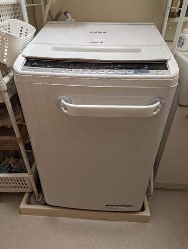 家電 生活家電 洗濯機