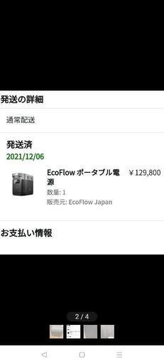 ecoflow EFDELTA1000　200W折り畳みソーラーパネルセット