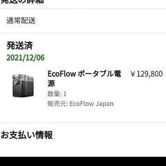 ecoflow EFDELTA1000　200W折り畳みソーラーパネルセット