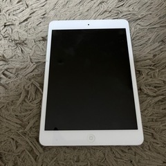  iPad