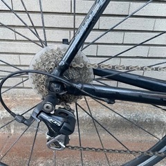 トレック TREK Madon2.1 軽量ロードバイク　おまけ付き　引き取り希望 の画像