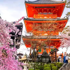 ★プライベート添乗員　private tour guide…