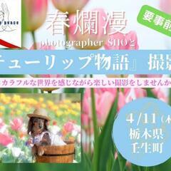 【壬生】チューリップ愛犬撮影会