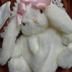 ロリータ  ファッション の画像