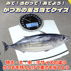 あびや!枕崎かつおマルシェ - 地域/お祭り