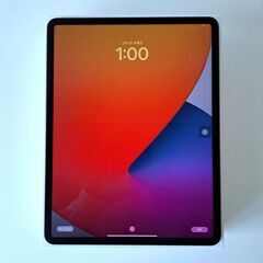 【極美品】iPad Pro 12.9インチ 第5世代 Wi-Fi 256GBの画像