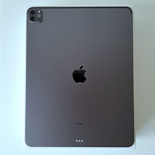 極美品】iPad Pro 12.9インチ 第5世代 Wi-Fi 256GB