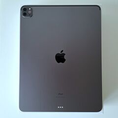 【極美品】iPad Pro 12.9インチ 第5世代 Wi-Fi 256GBの画像