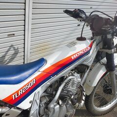 書付公道トライアル車　TLR250R実働　林道、酷道に！の画像
