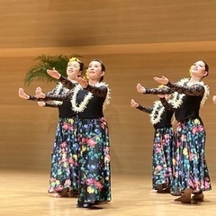 守谷市🌺ハワイアンフラダンスの画像