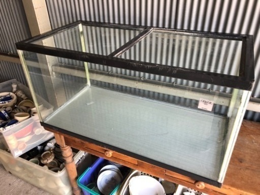 コトブキ　水槽