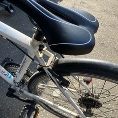 AMERICAN EAGLE ASPEN ギア付 クロスバイク ロードバイク 自転車