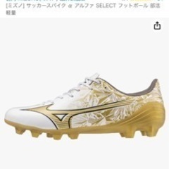 サッカースパイク