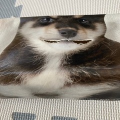 ティッシュケースの画像