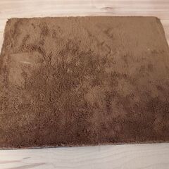 ペットキャリー　車の画像