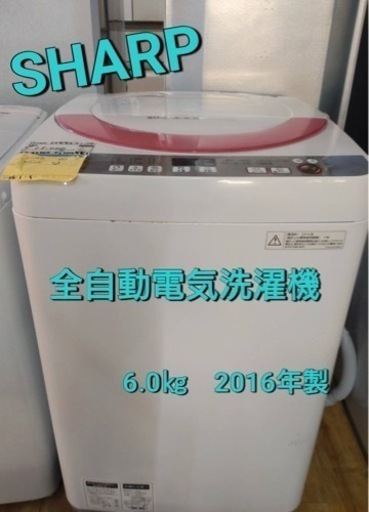 SHARP  全自動電気洗濯機 6.0kg