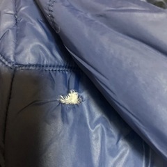 スポーツ スキーの画像