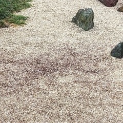 【まとめ買いお得】お庭DIY⭐︎白川砂利⭐︎和風モダン庭園@500円