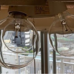 【ペンダントライト】3灯式ソケット天井照明（6畳〜8畳）おしゃれな大きな電球付き [インテリア]の画像