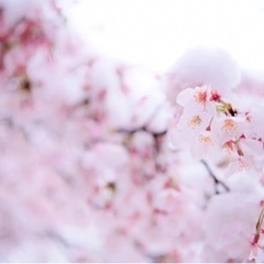 🌸全国メンタル通話グルチャ🌸