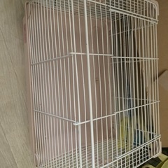 ハムスターやハリネズミケース