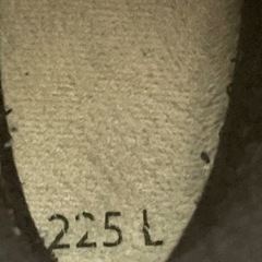 スキー　ブーツ　NORDICA  ノルディカ　22.5cm 　　の画像