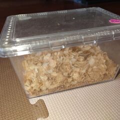 虫かご　スライド式