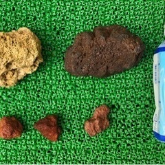 ビオトープ　石の画像