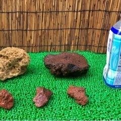 ビオトープ　石の画像