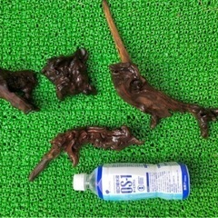 ビオトープ　流木の画像
