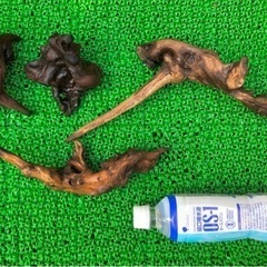 ビオトープ　流木