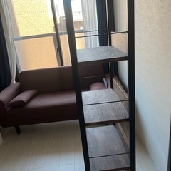 2022年制棚の画像