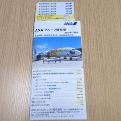 ANA グループ優待券