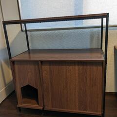 猫　トイレ収納　シェルフ　棚