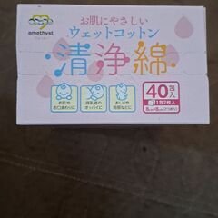 大衛株式会社　清浄綿　　１箱　40包の画像