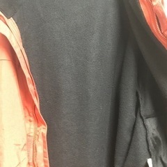 ロードランナー
の画像