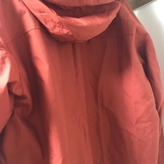 ロードランナー
の画像