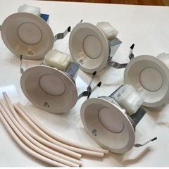 LEDダウンライト 【5個セット】 DDL-102YW