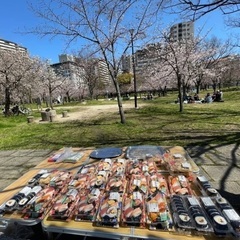 2025年4/5(土)＆4/6(日)大阪 桜ノ宮で百名お花見ピクニック🌸 - 大阪市