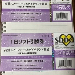 1日リフト引換券　高鷲スノーパーク　ダイナランド　共通　1枚2500円