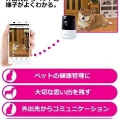  パナソニック ペットカメラ スマ@ホーム 自動追尾機能搭載 屋内HDペットカメラ KX-HDN205-Kの画像