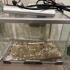本日引き取り700円！テトラ水槽セット