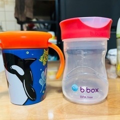 哺乳瓶　マグの画像