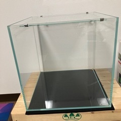 水槽・ライト