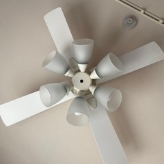 Lowyaファンライト 照明器具
