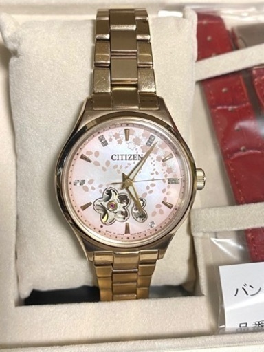シチズン PC1004-63W 限定モデル