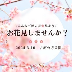 古河公方公園でお花見しませんか🌸🌸🌸