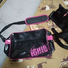 エナメルバック