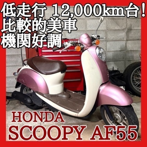 ☆安心の点検整備.動画☆ホンダ スクーピー AF55☆低走行で良質な個体！お気に入りの１台に是非どうぞ！
